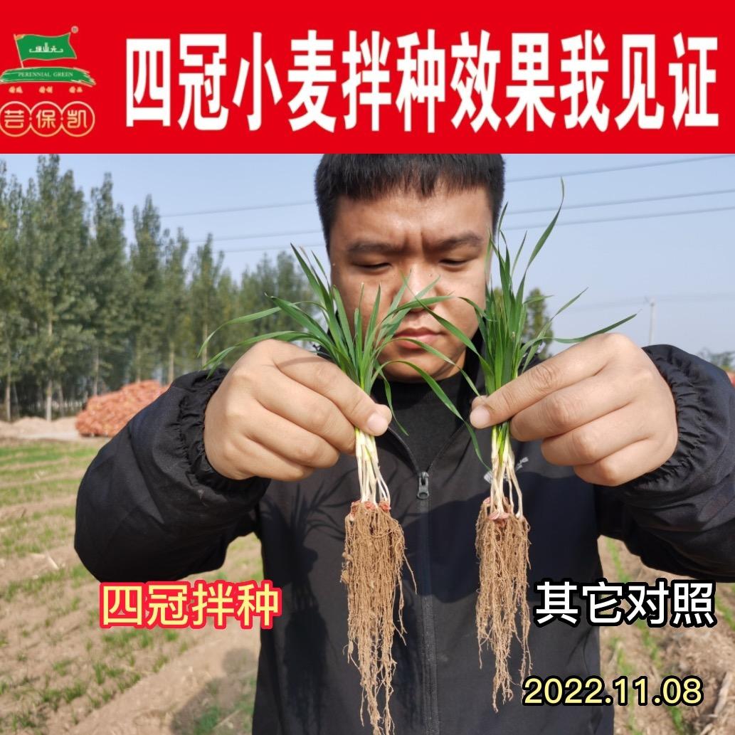 芸保凯提质增产剂小志