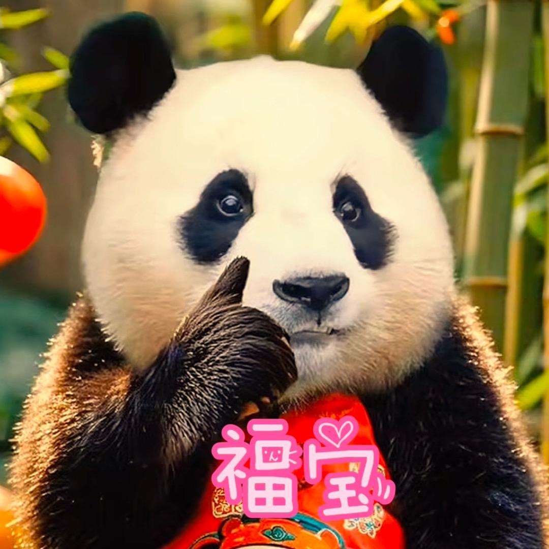 ✨幸福豆子✨