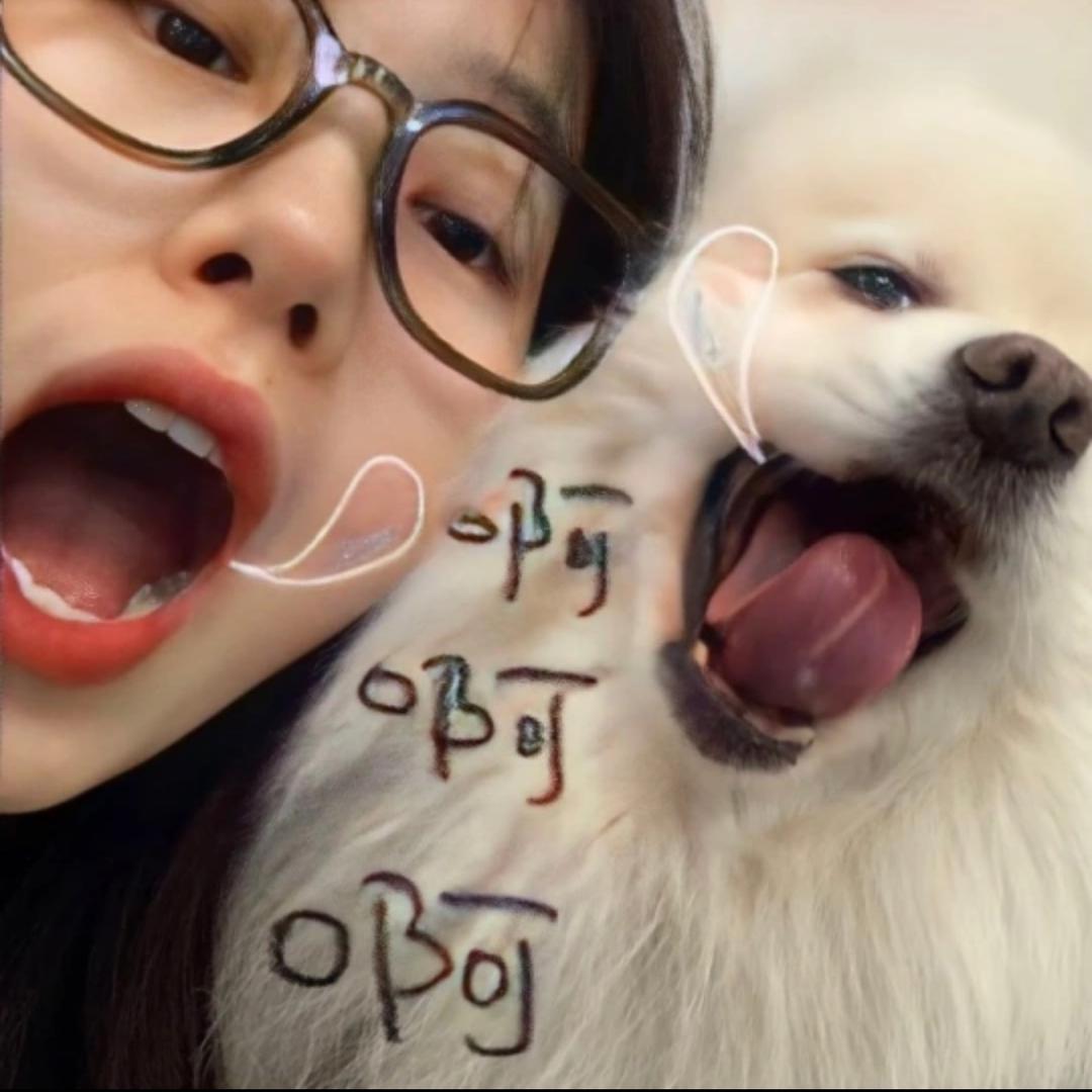 tt睡醒了数字油画