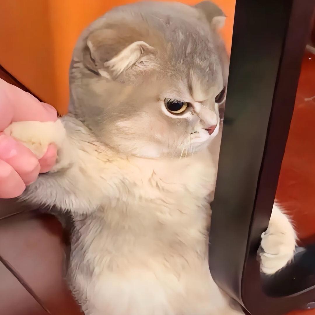 耀文