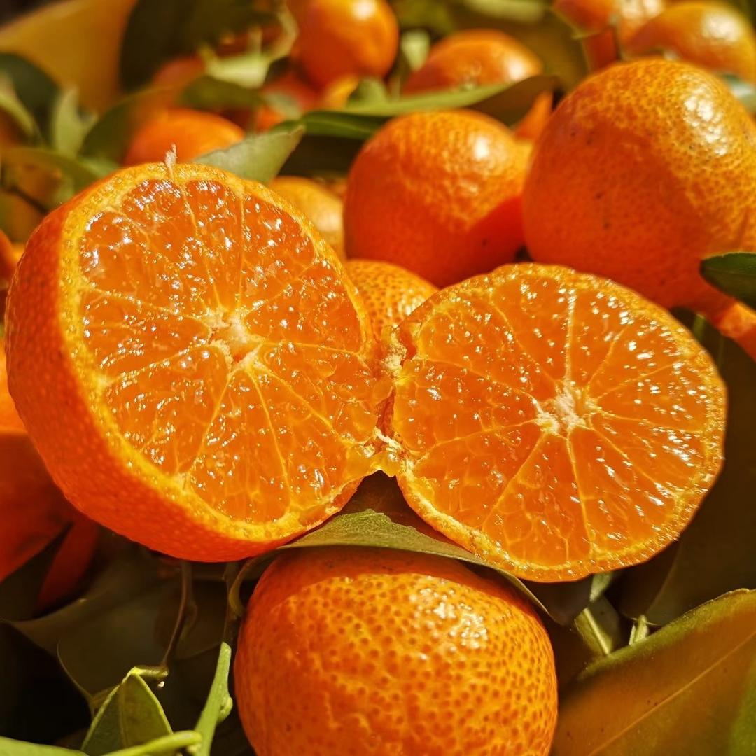 农民家的鲜果园