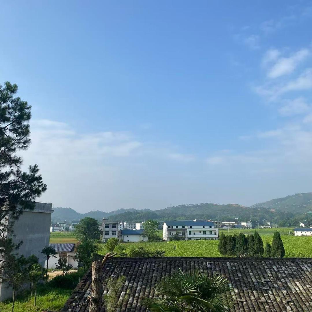 店小二@