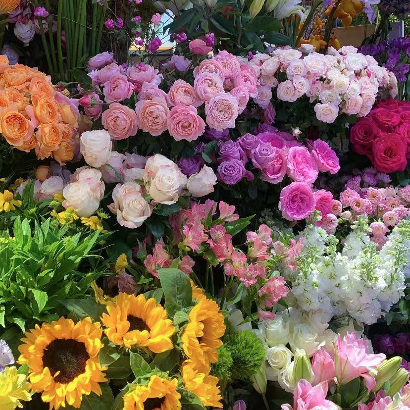 ✨命中注定🌺鱻鱻✨