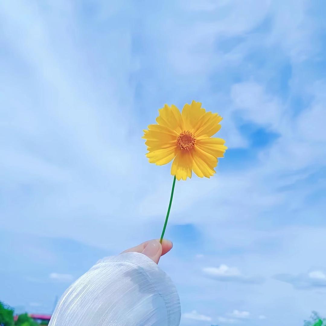 赵老板清货