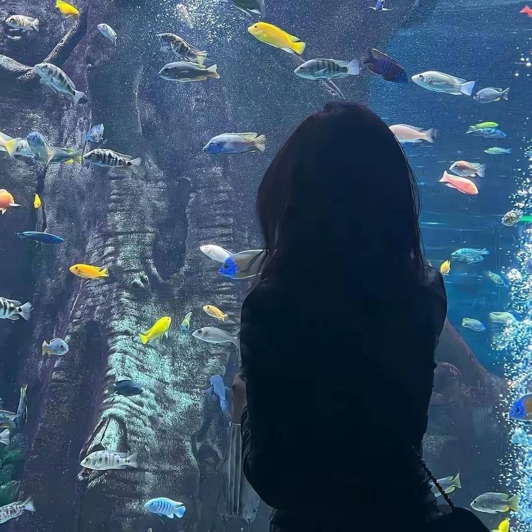 孤独的小女人