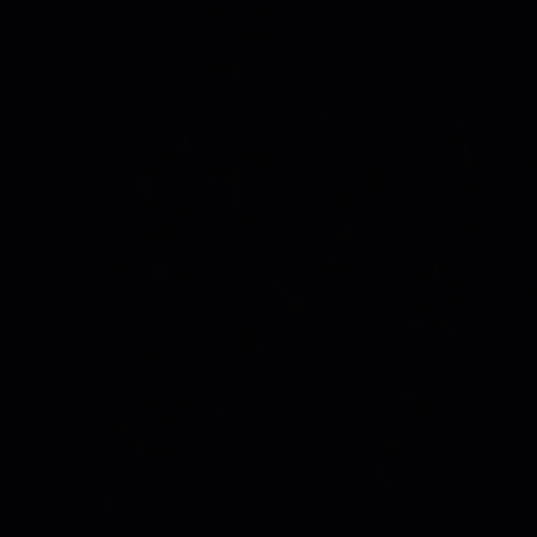 不会发芽的土豆