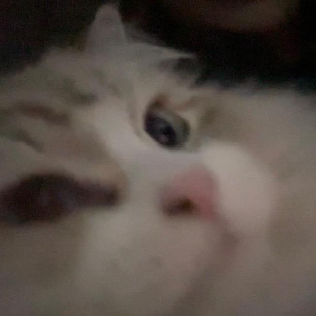 HT