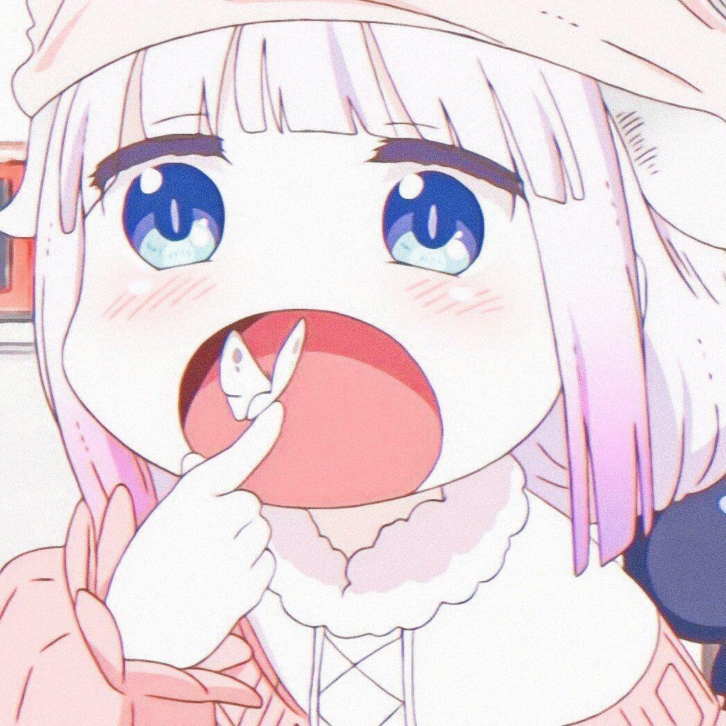 团子的手帐随心配（可许愿）