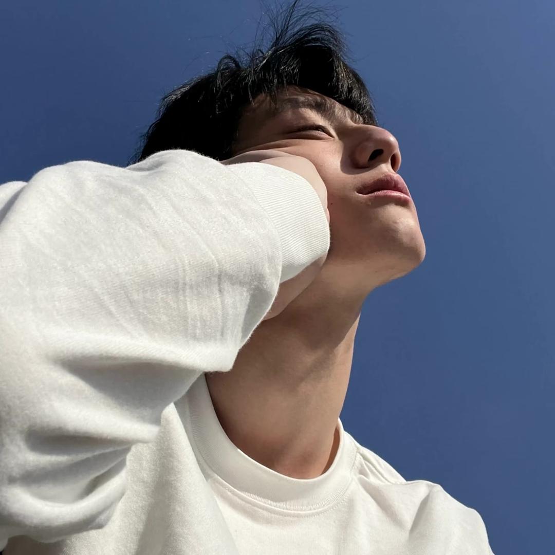 杌.