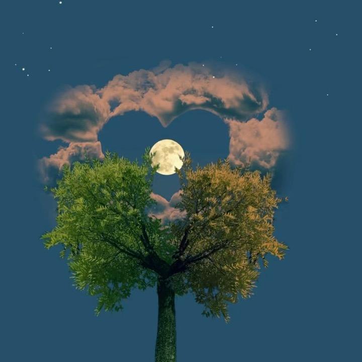 空……