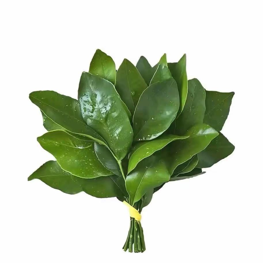 咔咔瘦