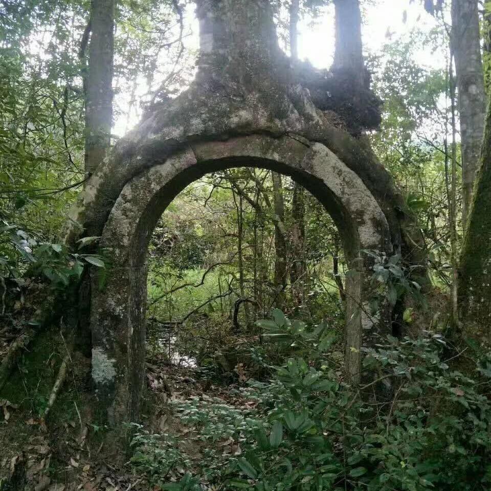 仙子古玩