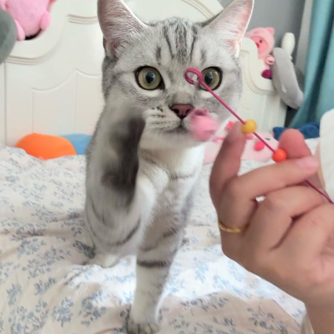禾曰.