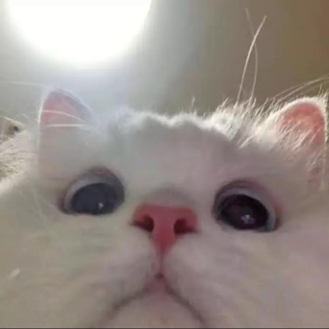 氧气