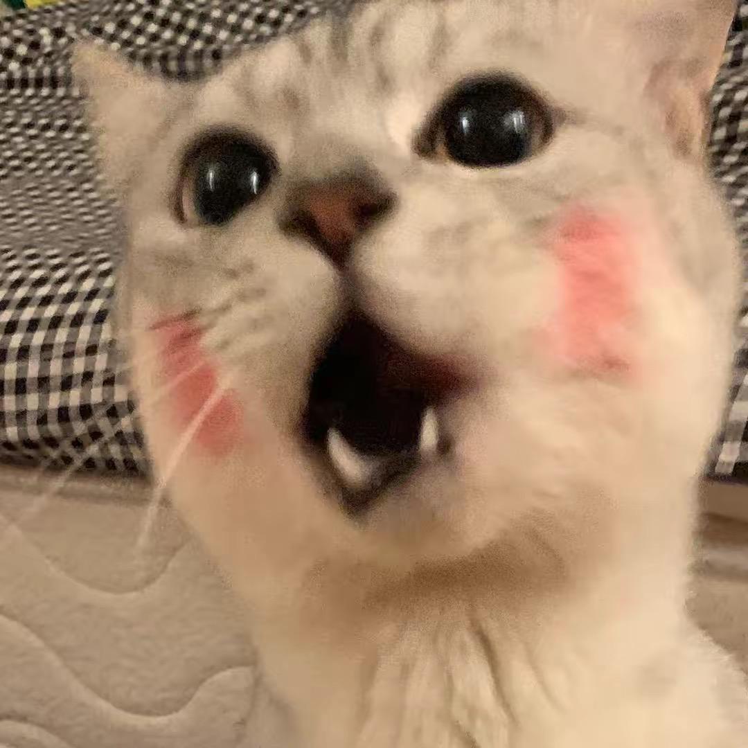 呼哈呼哈呼出了奇迹