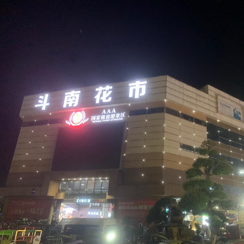 斗南鲜花小Y哥