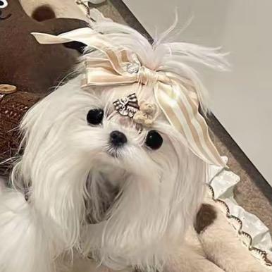 芯月·旺犬衣栈（狗狗衣橱）