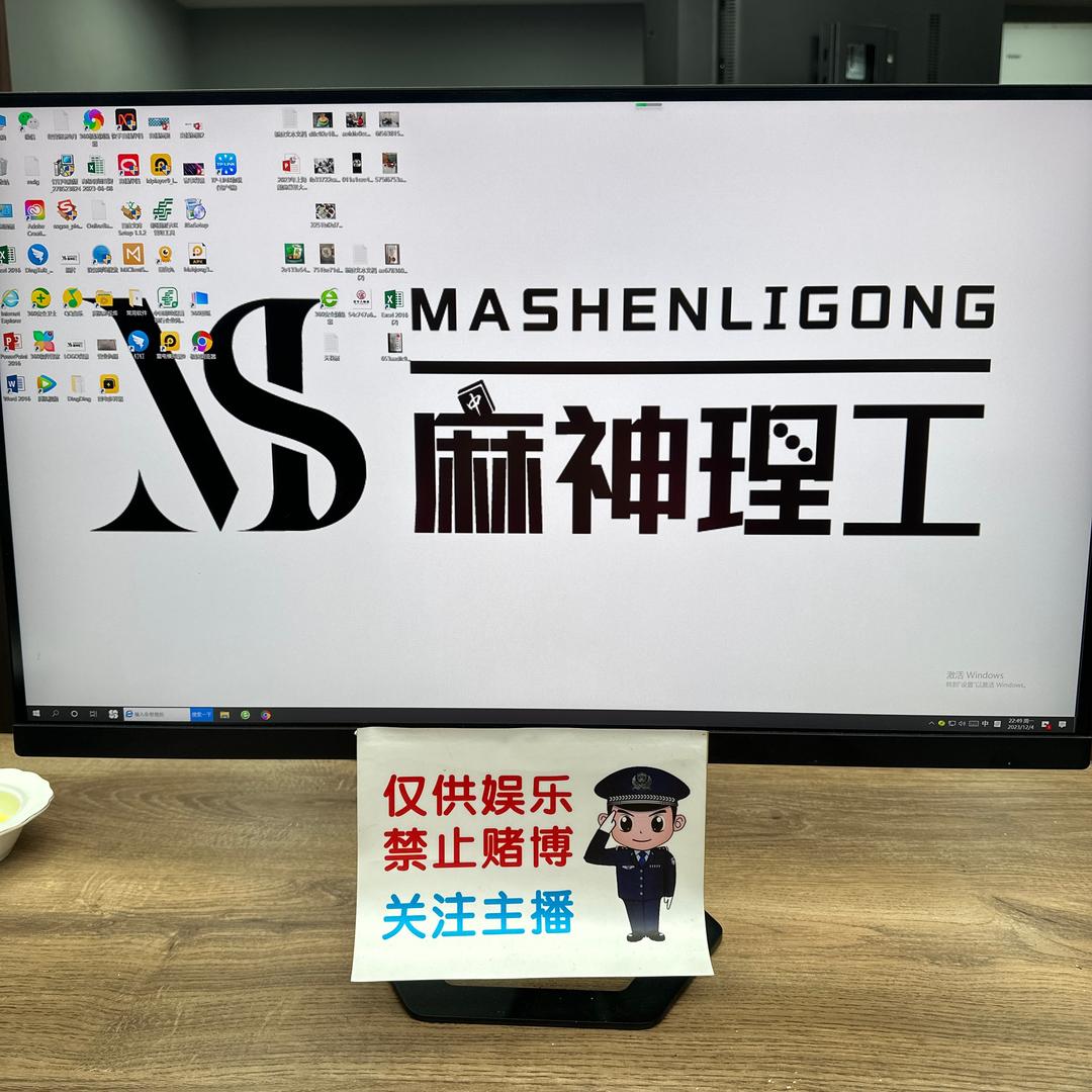 MS麻神理工8