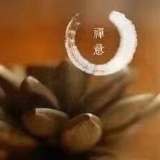 星火🇨🇳