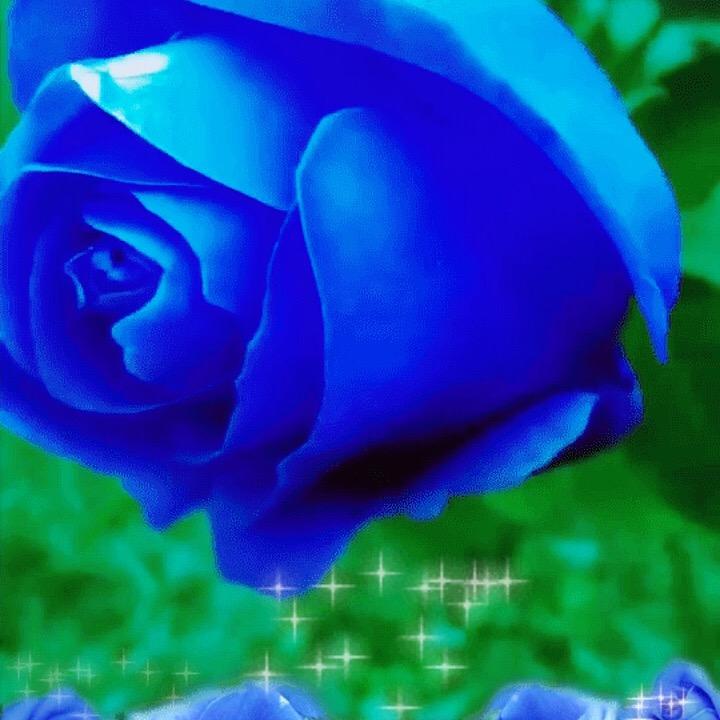 Ls虹🌈