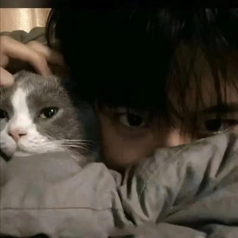 杨泽宇