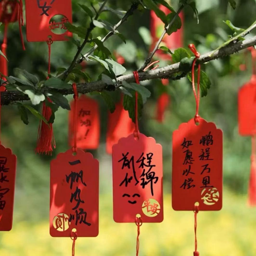 芙星小缘