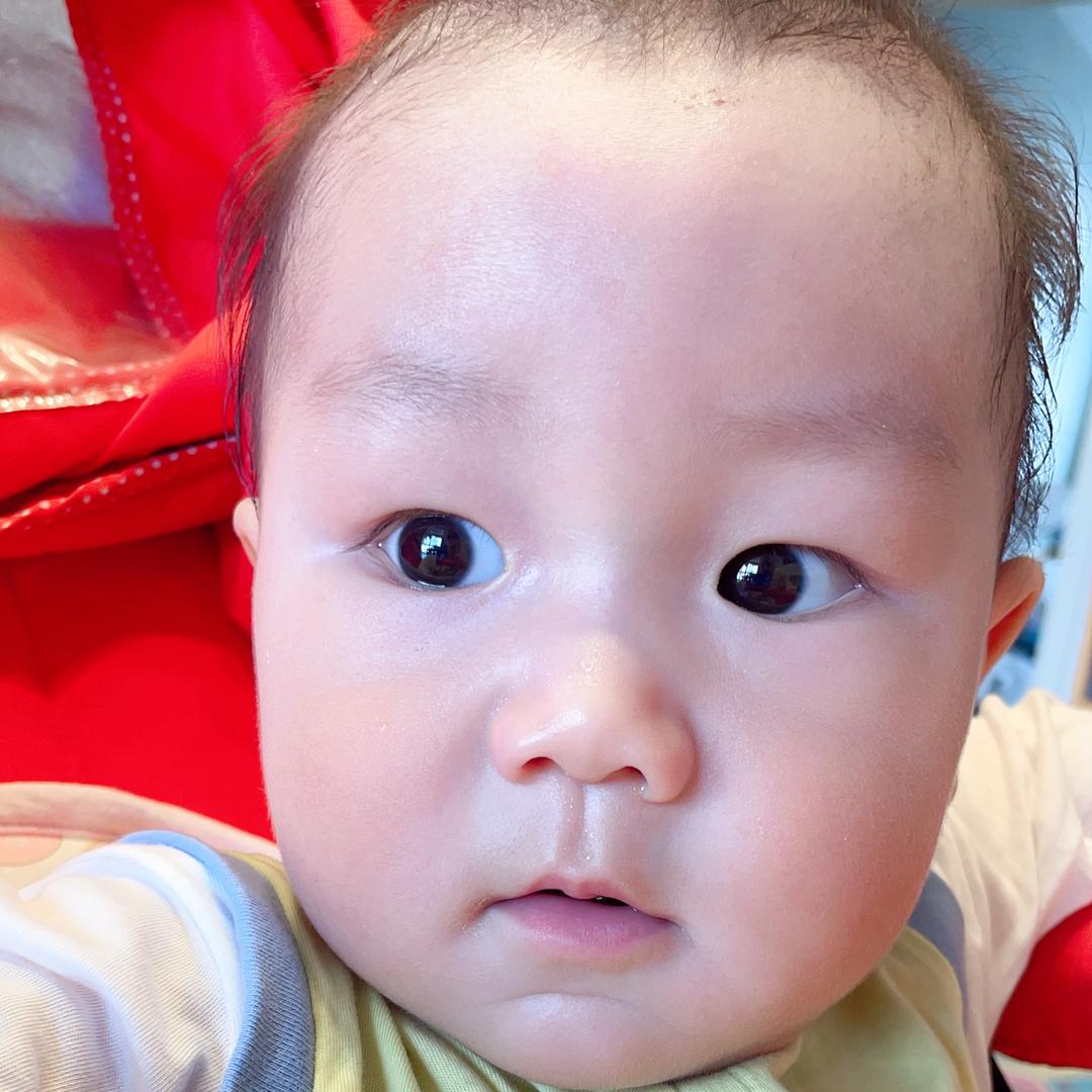 多多弟弟（辅食）