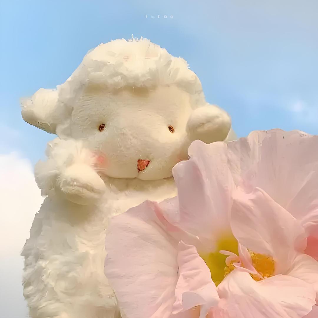 🐼没有痘痘嘚小熊