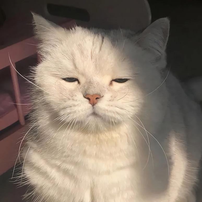 ㅤㅤ ㅤㅤㅤ小朋友