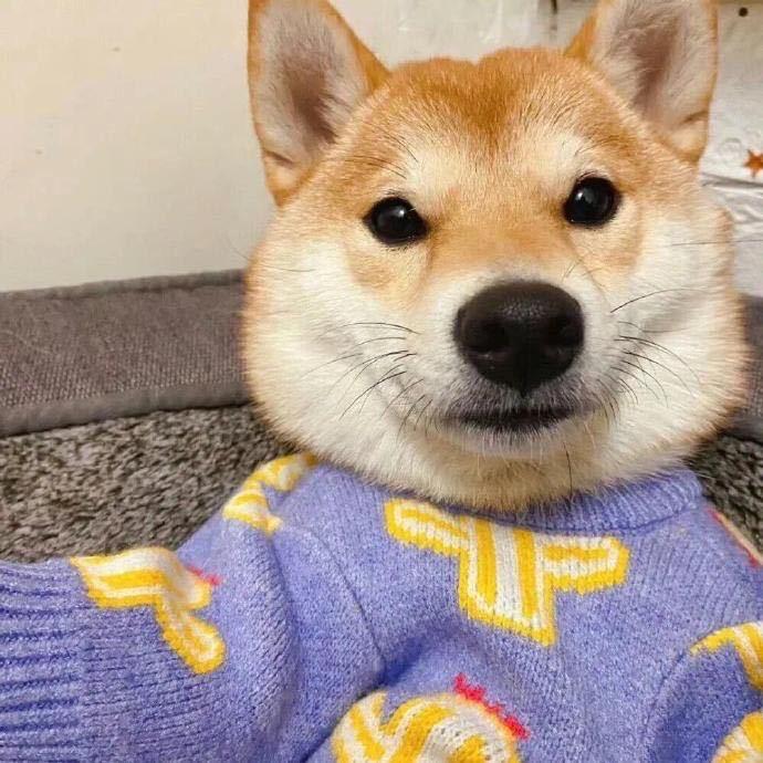 遇见.