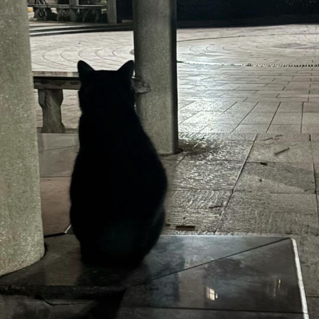 龙井茶
