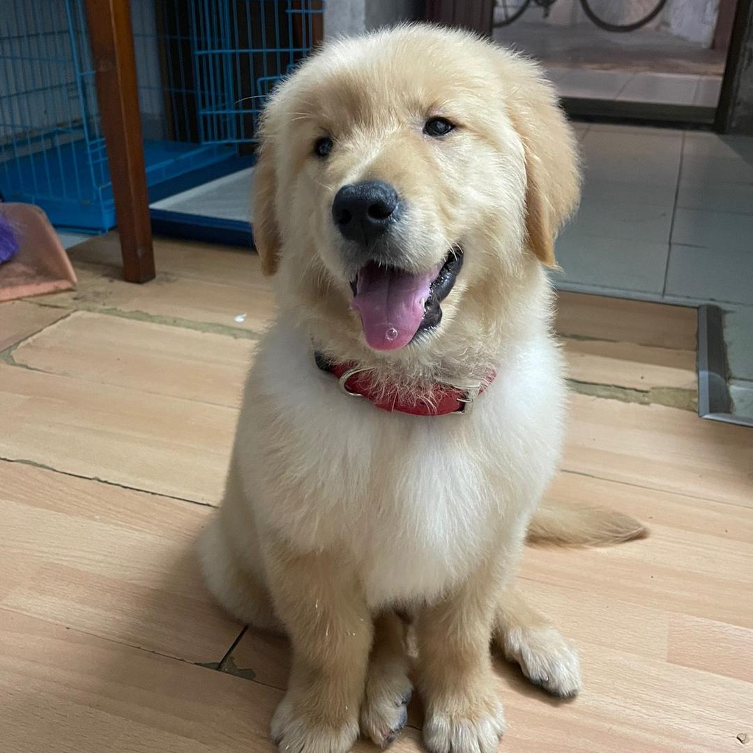 🌈雷子不听话🐾