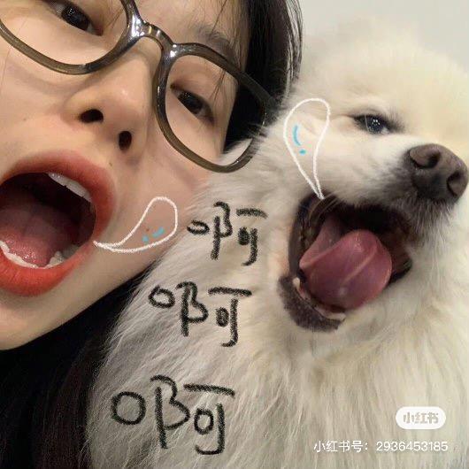 圆圈不圆。