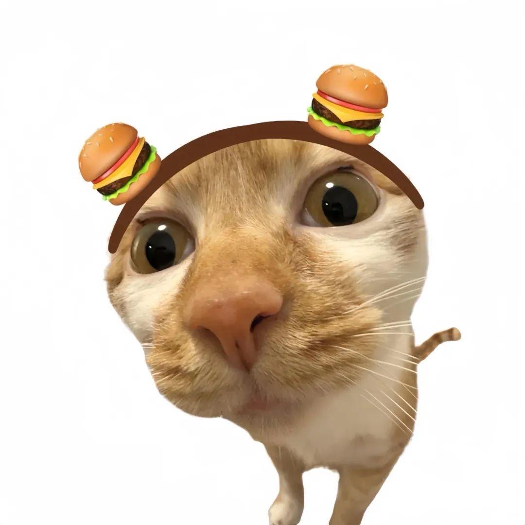 运气爆棚的薯条