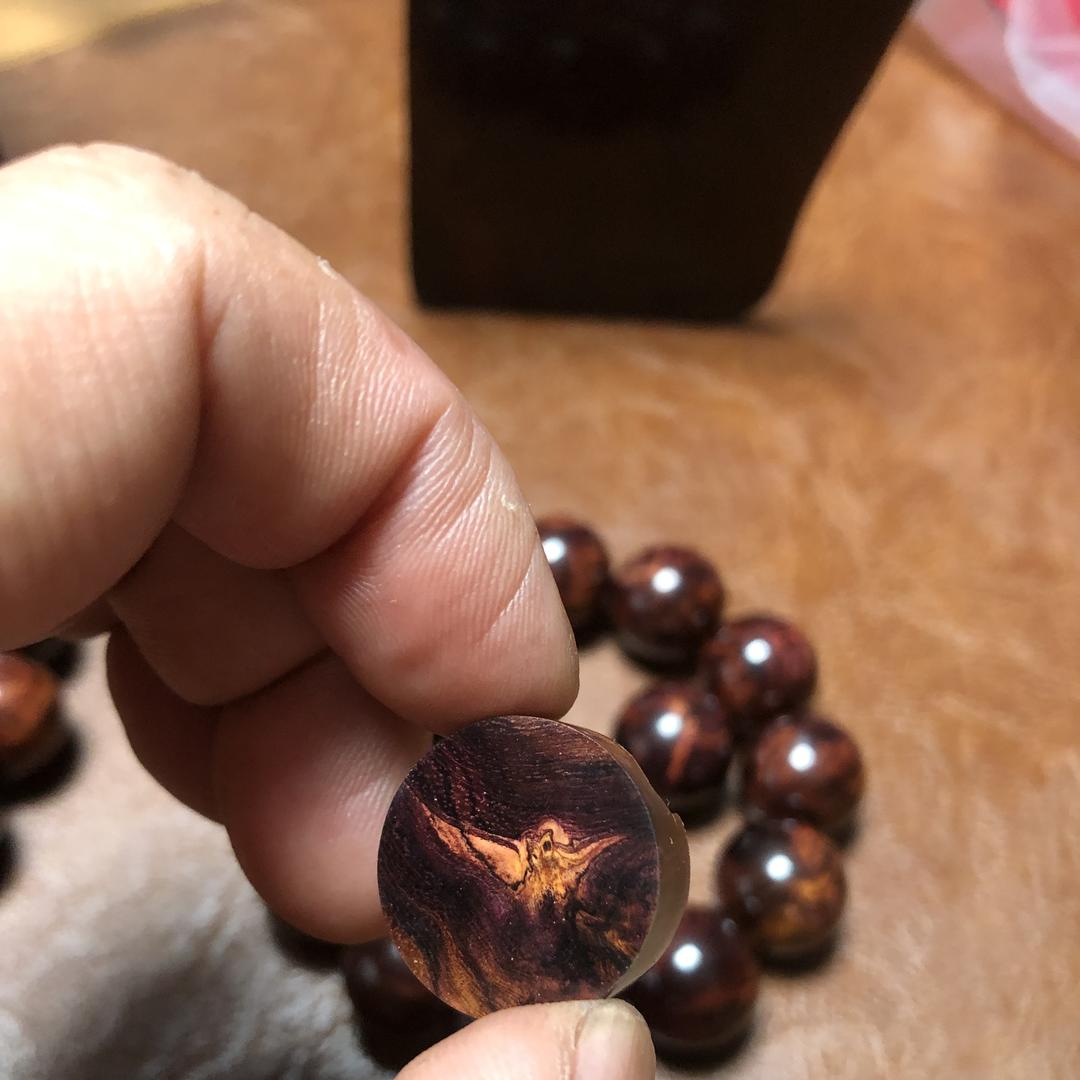 文重探觅大美海黄