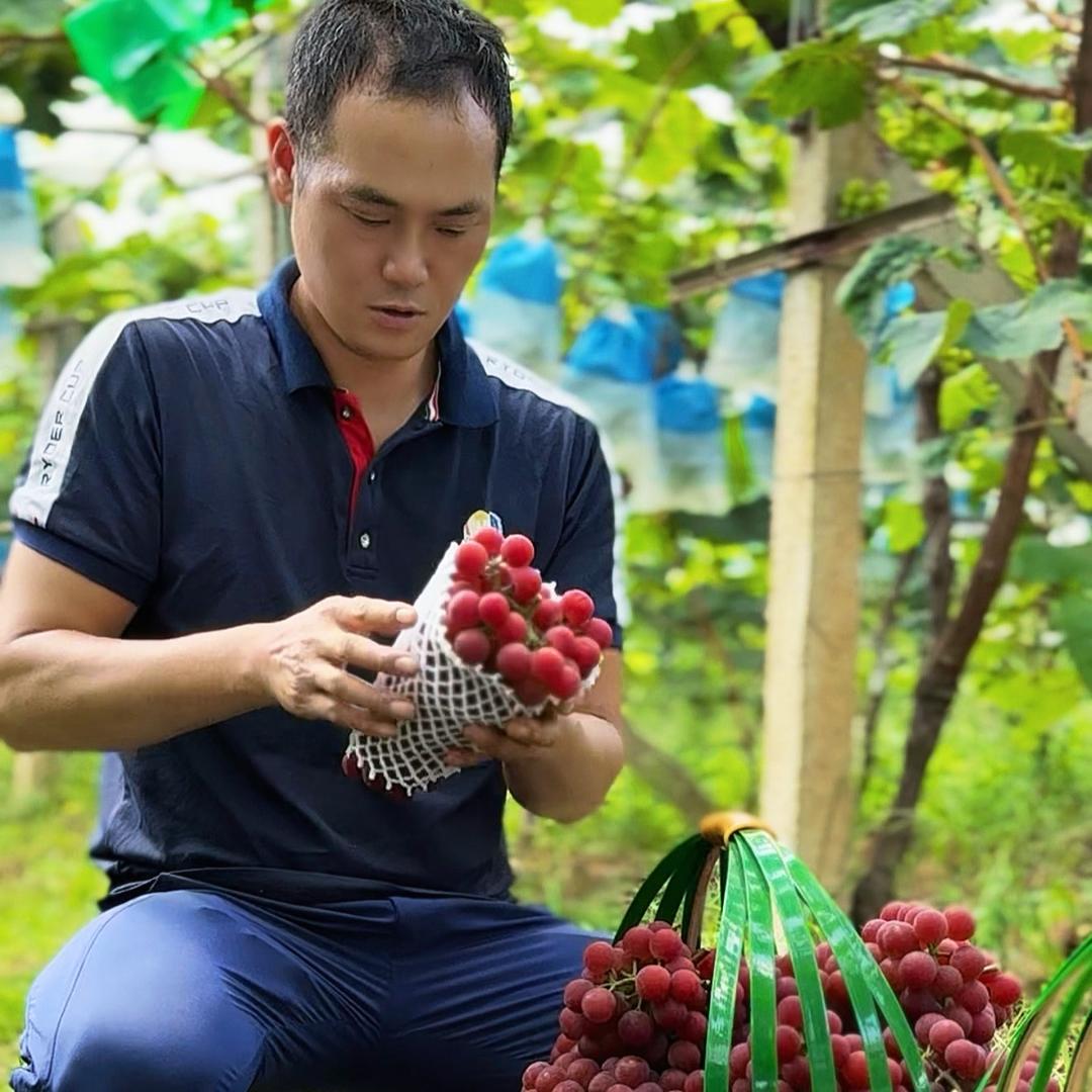 昭通土森果园文哥