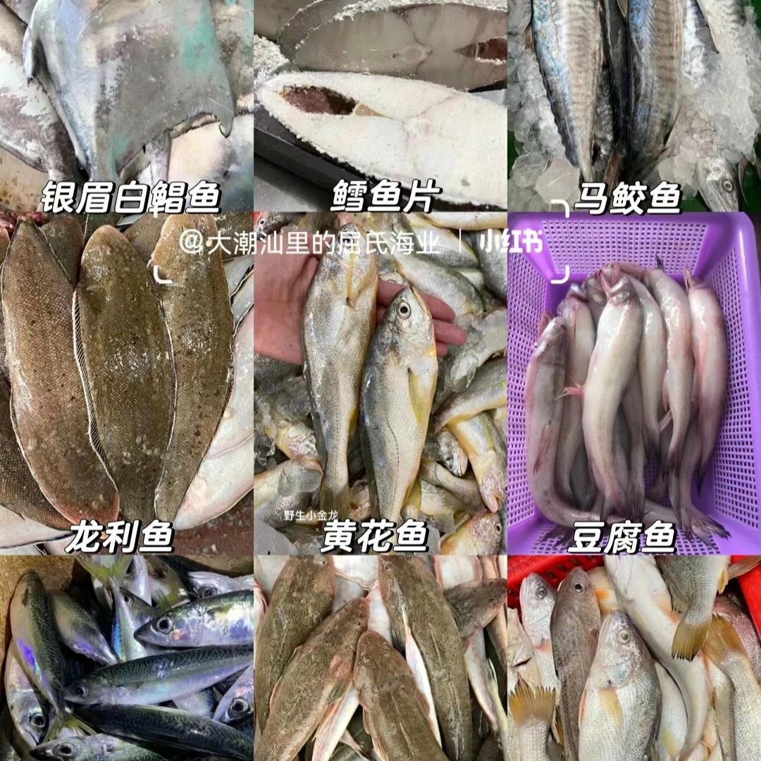 神泉本港海产品