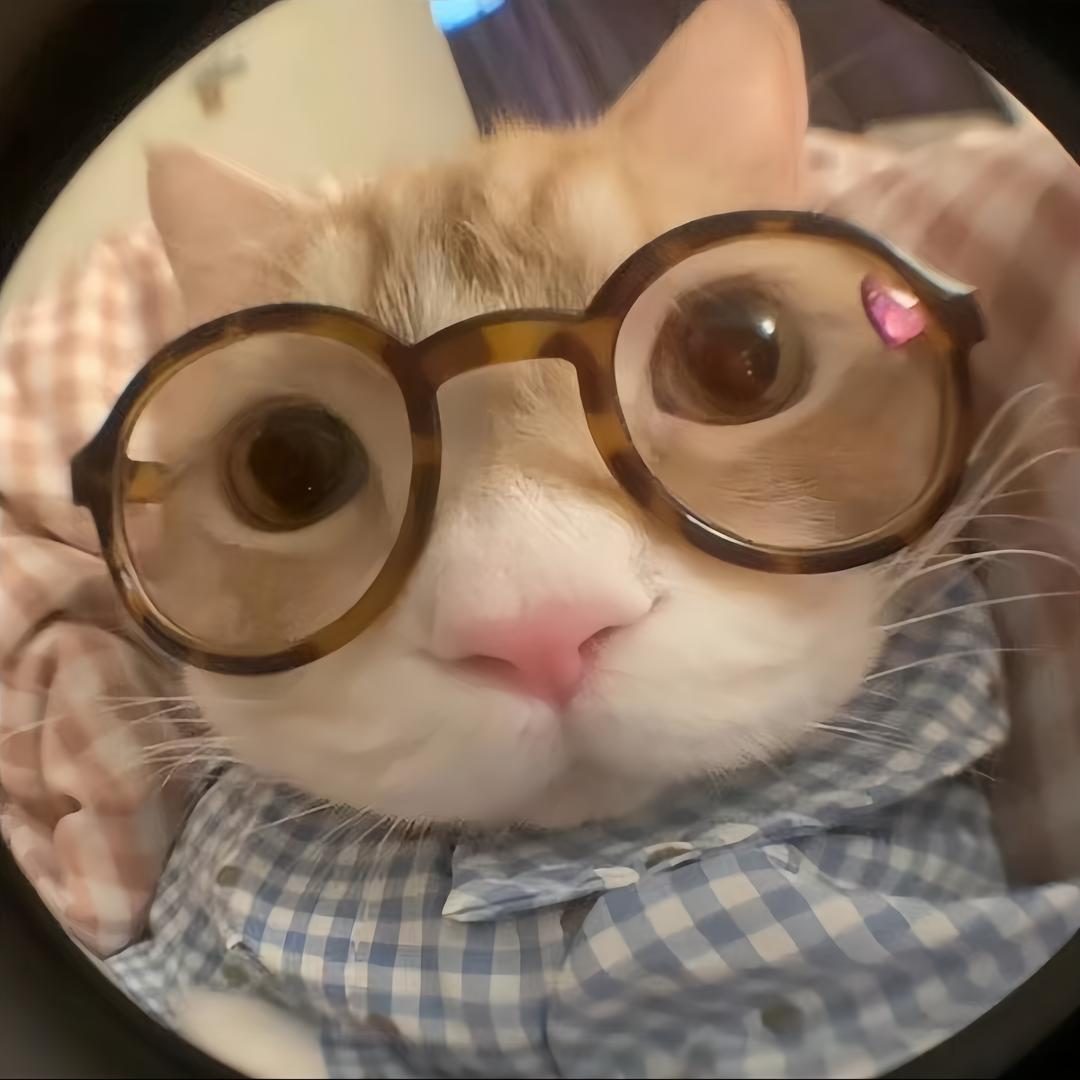 一张饼饼