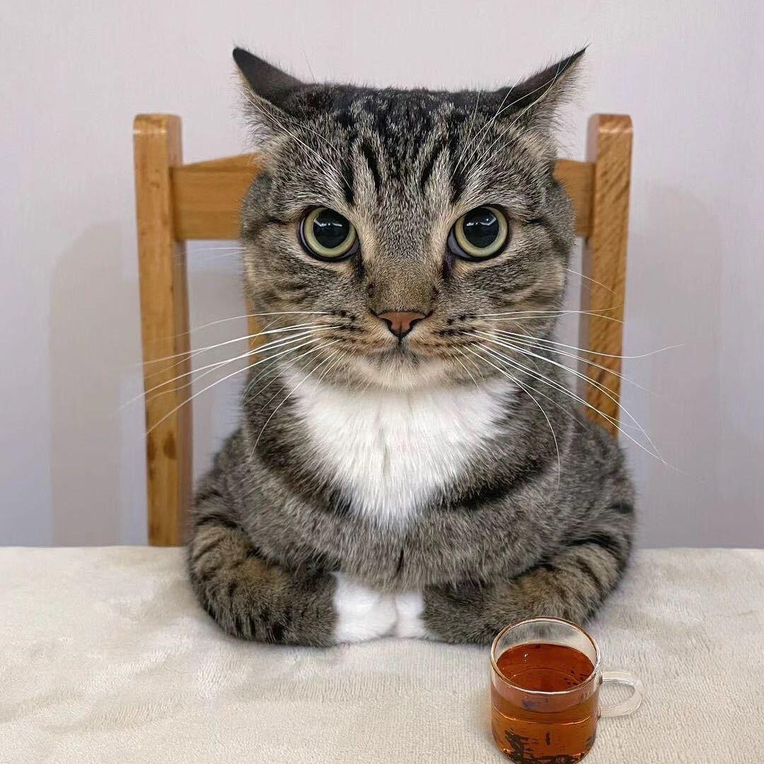 娃啥啥🪵