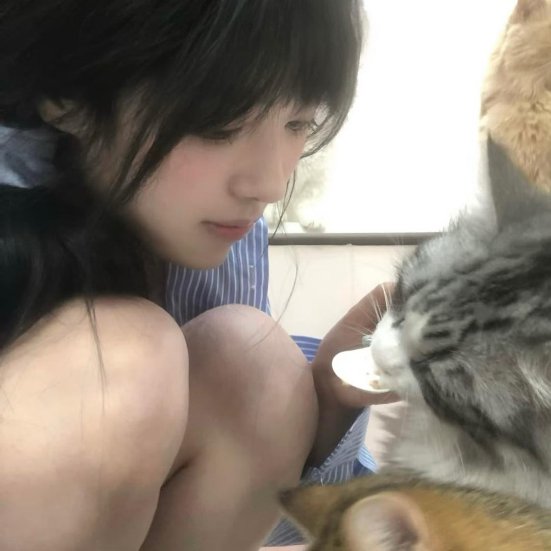 迟眠