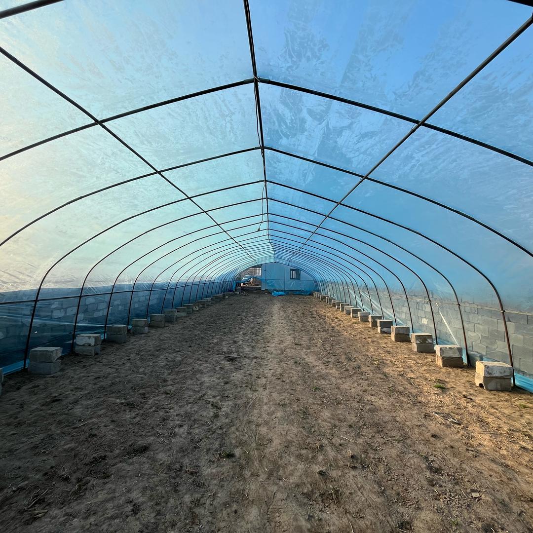 微型花卉园（共享菜园建设中）