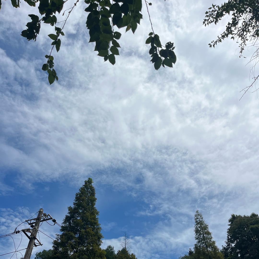 我就是我