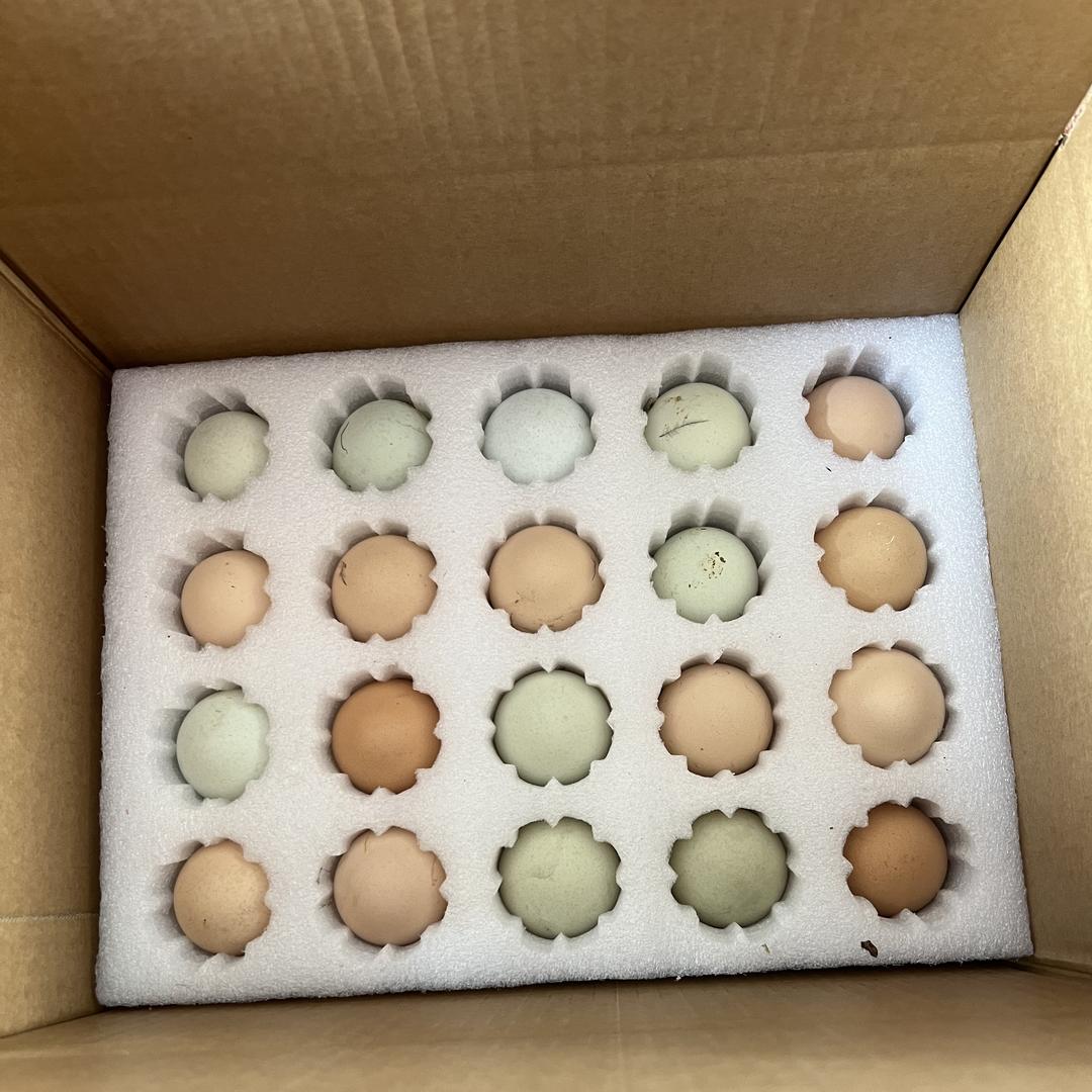 卖散养土鸡蛋的二哥