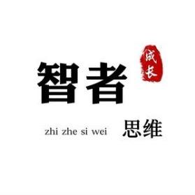 悟空智者思维图书