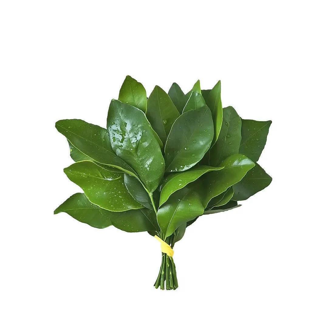 南宫问雅