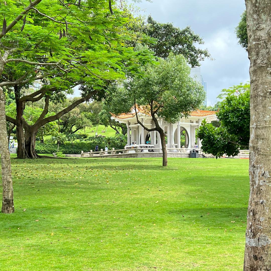 一路风景开心go go go