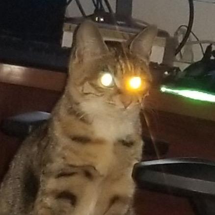 陈住气气气（见过陶喆版