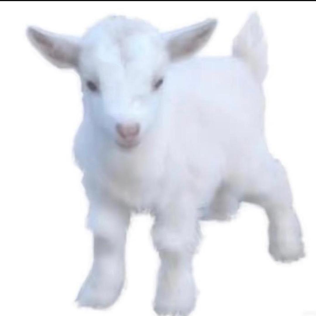 xx