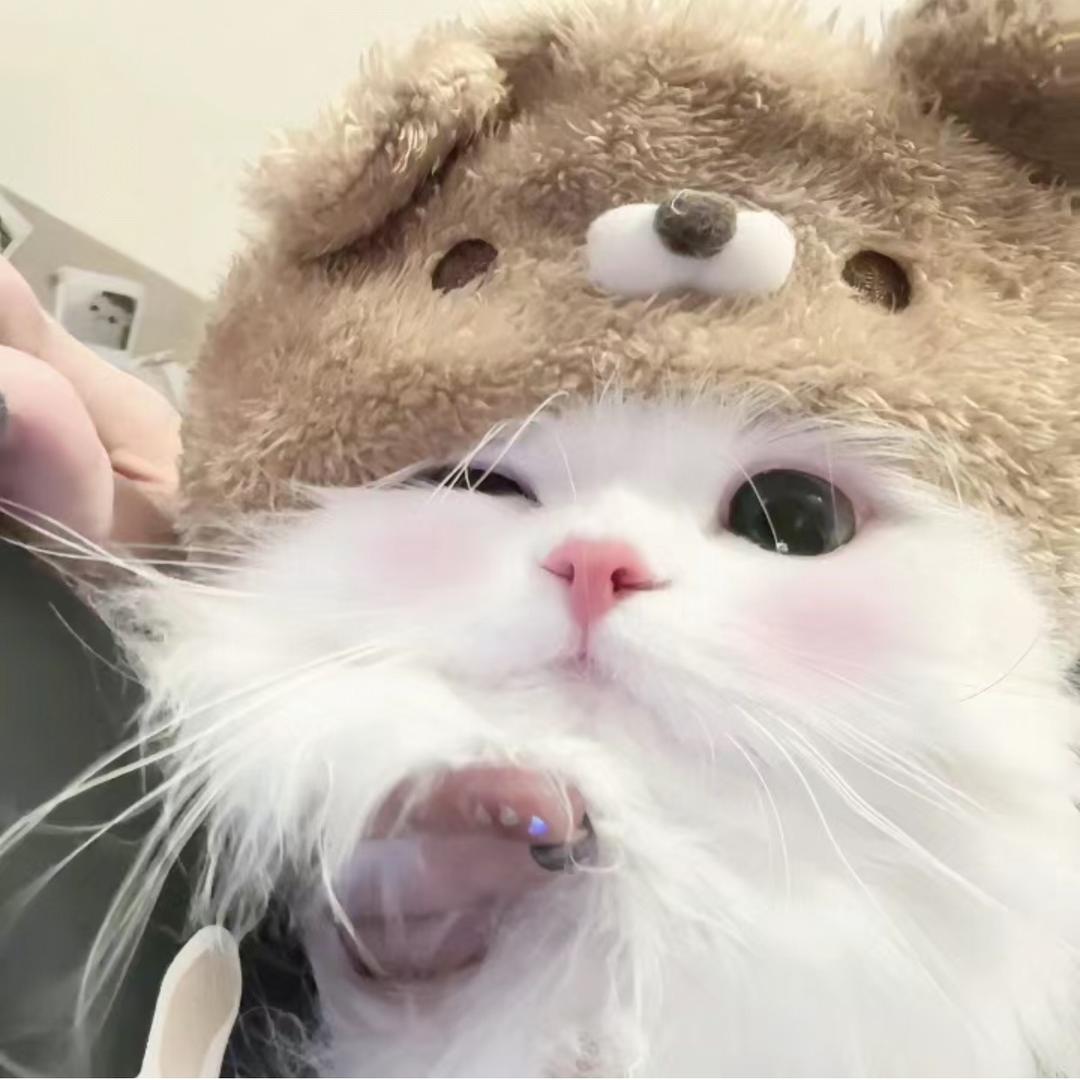 公主请幸福