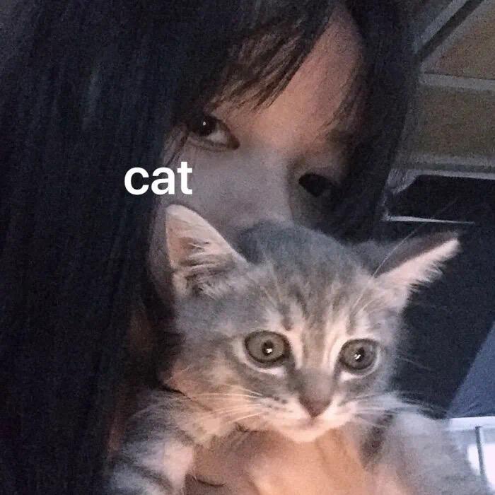 🍃美女18岁